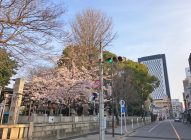 もっさい神社と思っていたら、もっさいのはぼくのこころだった。